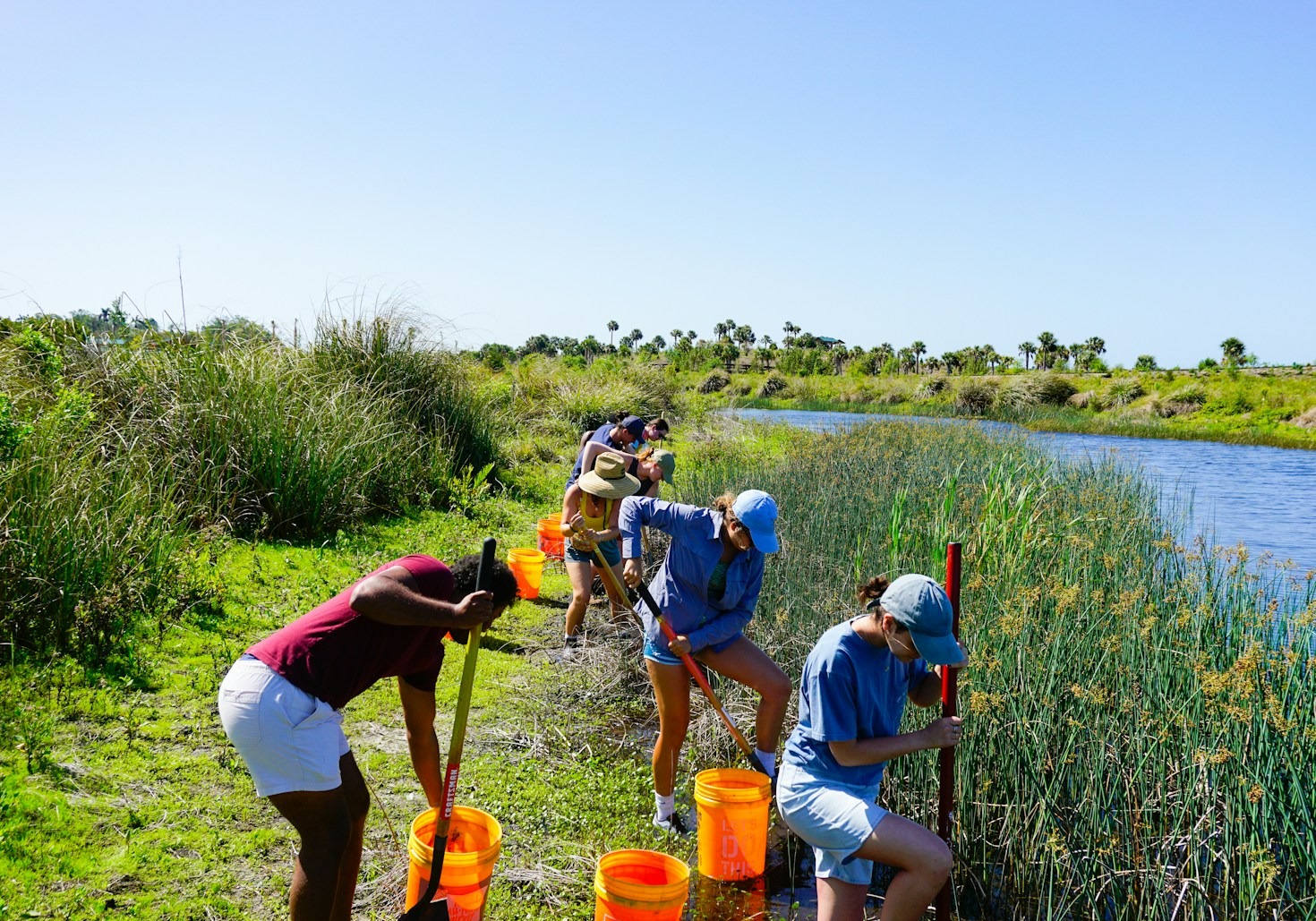 The Role of Partnerships in Community Development